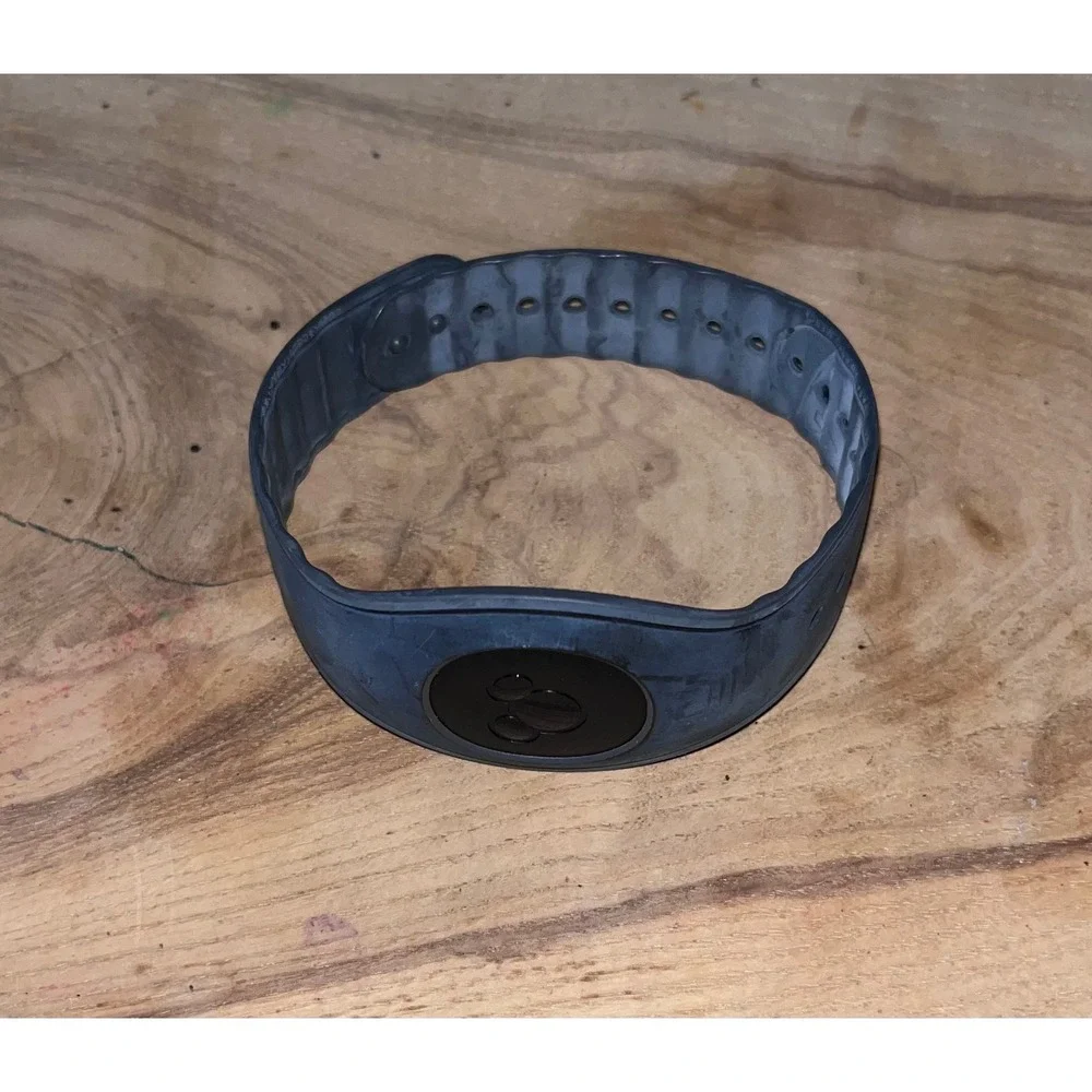 Disney parks magicband